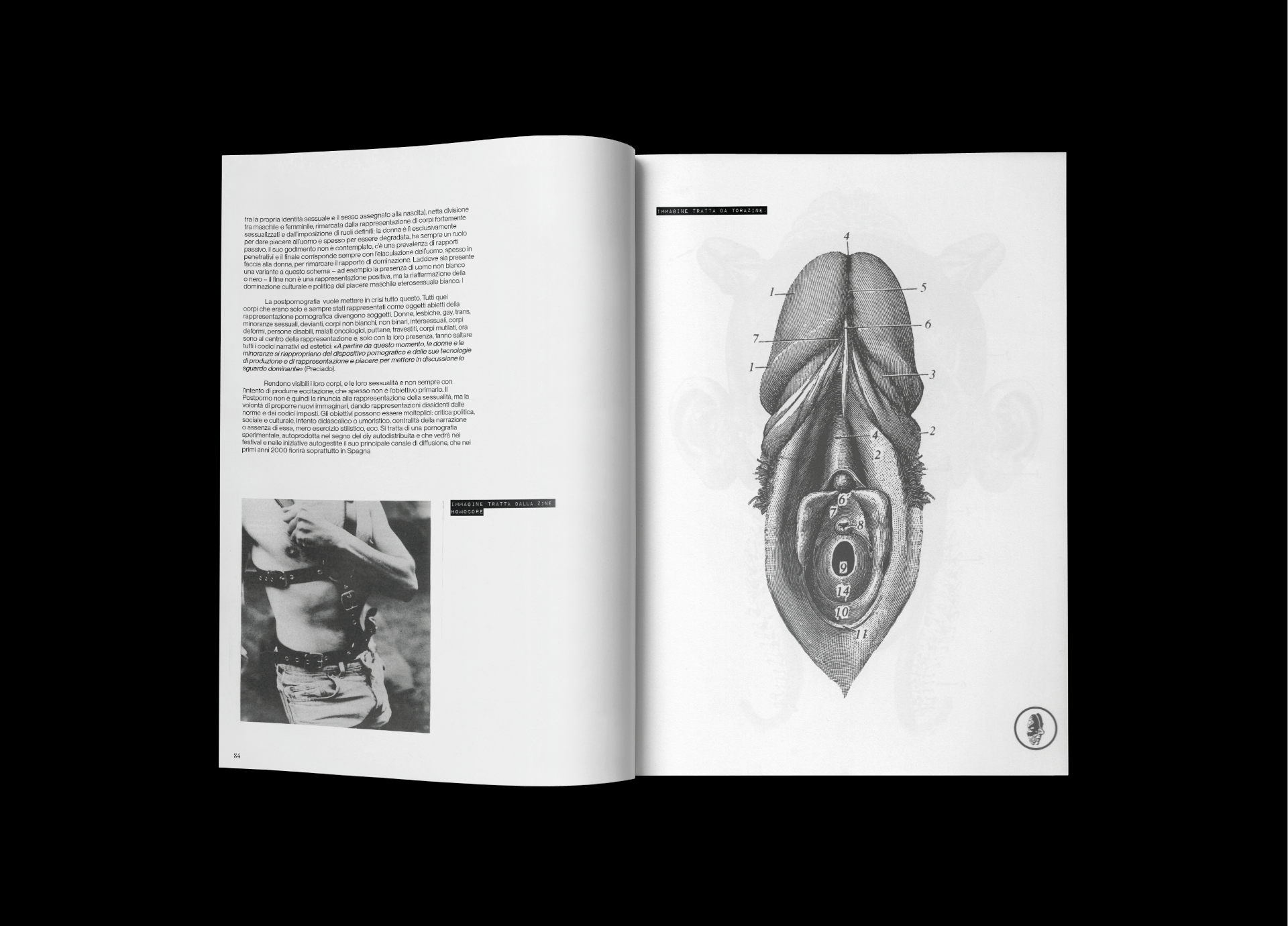 Spread sulla post-pornografia con tavola anatomica